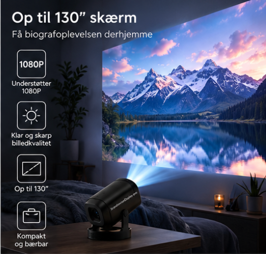 ScandinavianDisplay Pro