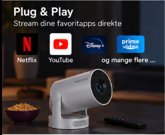 ScandinavianDisplay