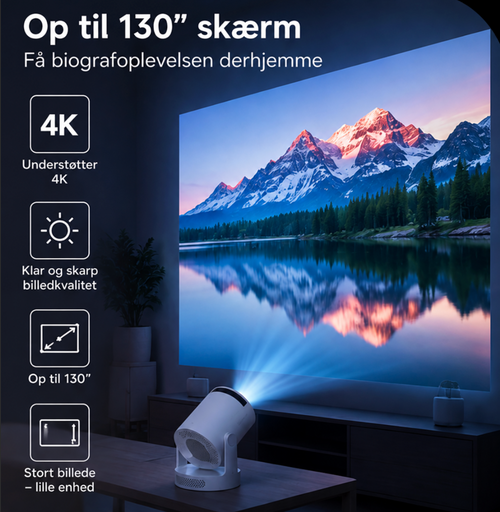 ScandinavianDisplay